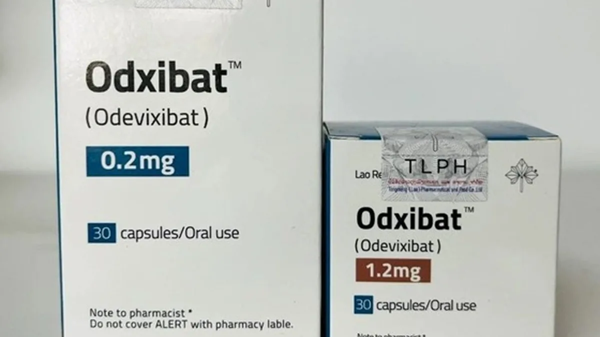 医保目录查询手机应用界面
